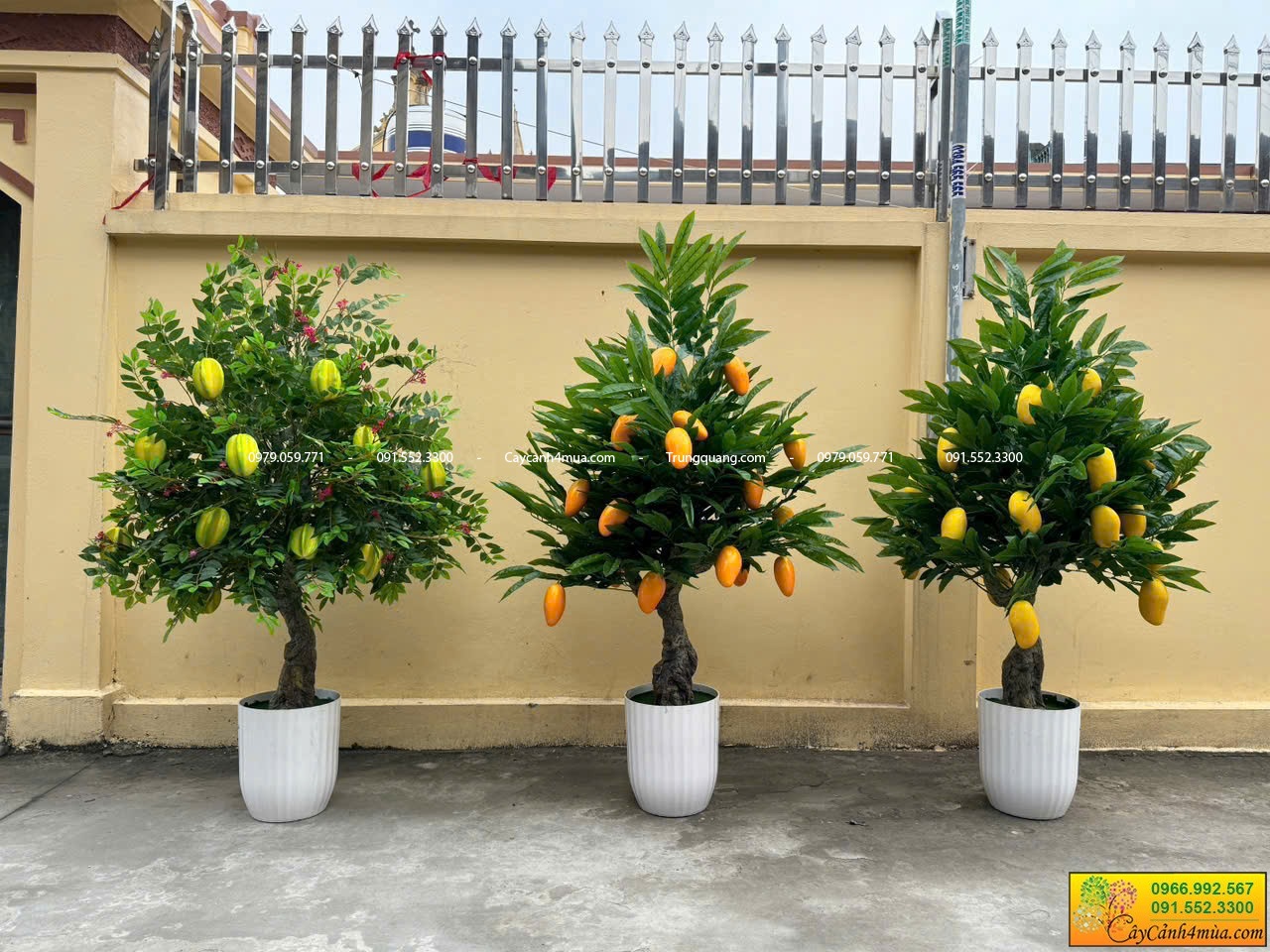 cây ăn quả giả
