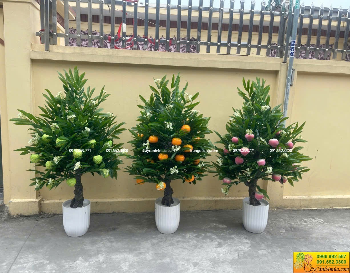 cây ăn quả giả
