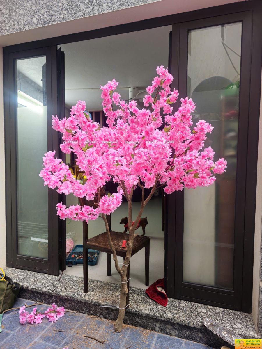 cây anh đào giả nhỏ làm theo yêu cầu
