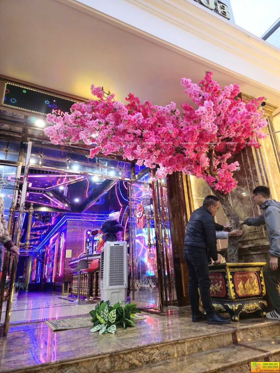 cây hoa anh đào giả cho khách ở xa