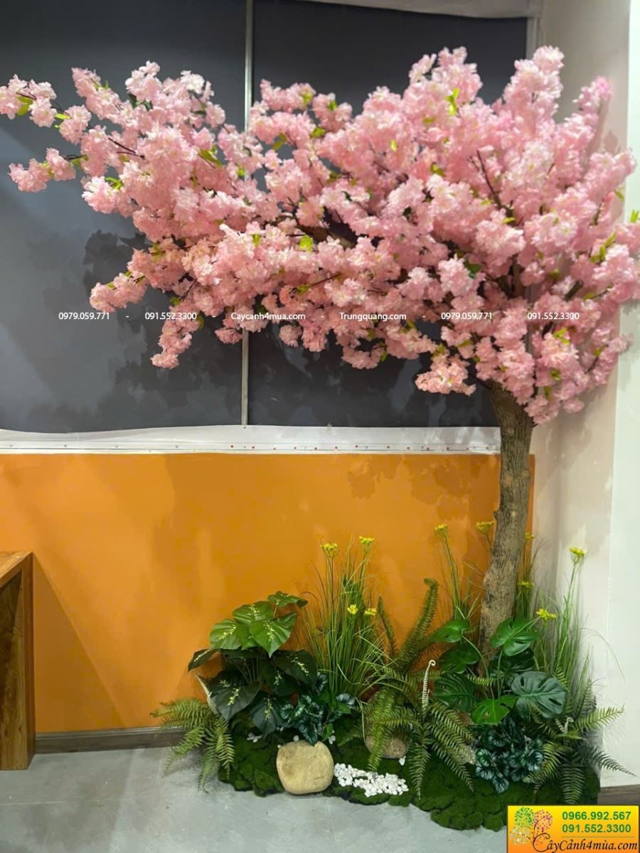cây hoa anh đào giả dáng huyền