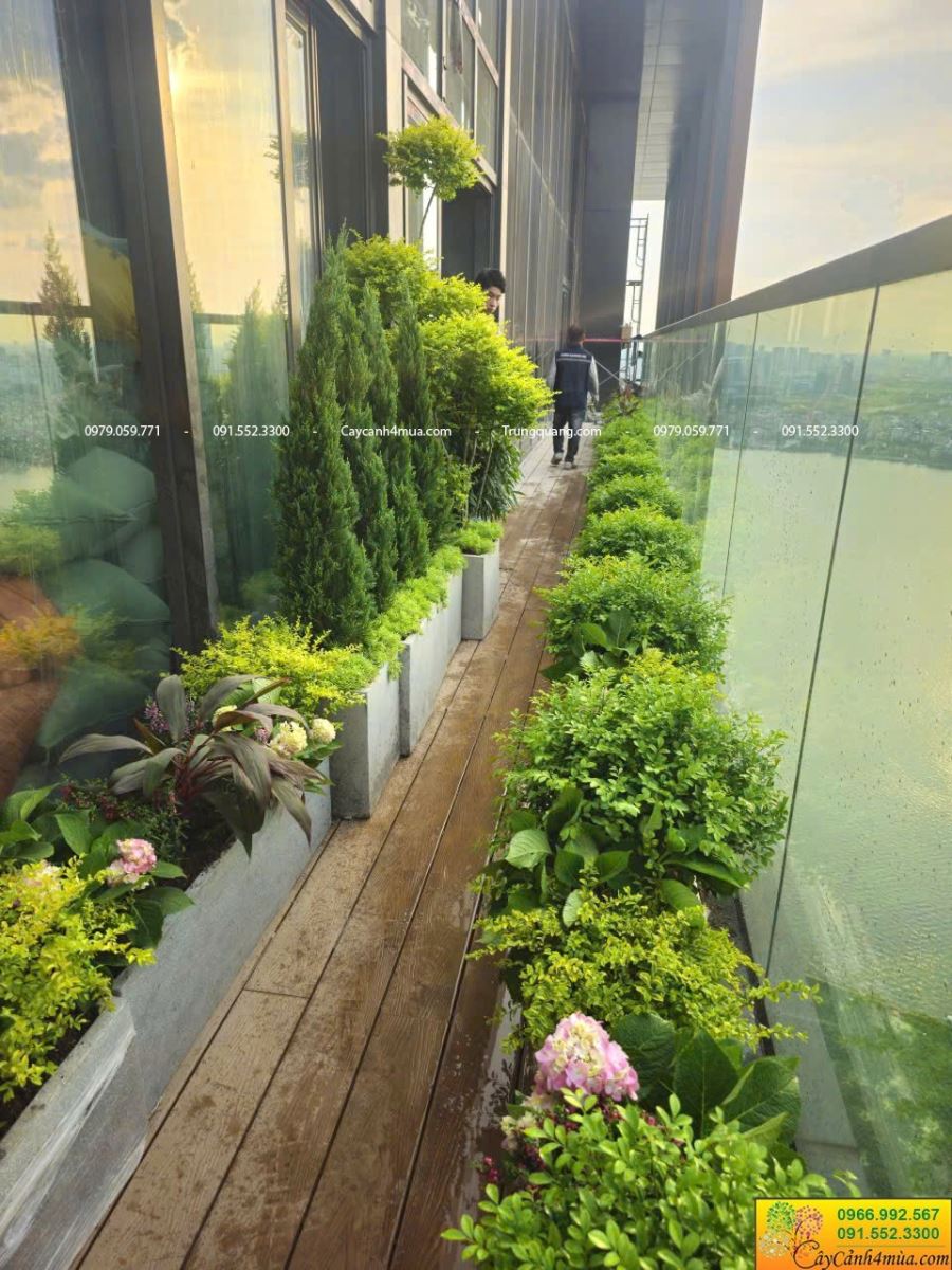trồng cây ban công khách sạn 6 sao 