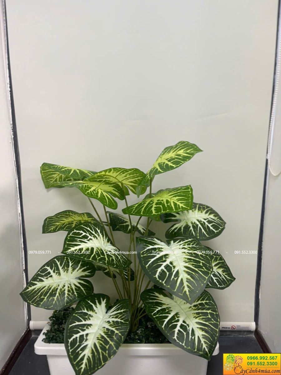 mẫu cây giả văn phòng