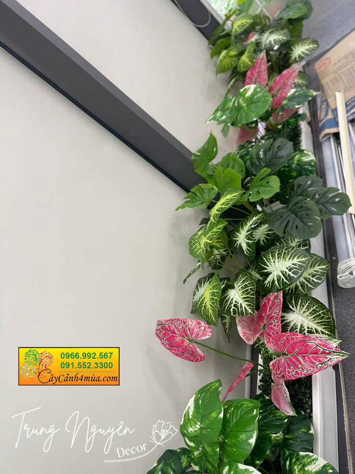 cây giả trầu bà đẹp văn phòng