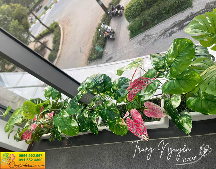 cây giả xanh đẹp bồn văn phòng