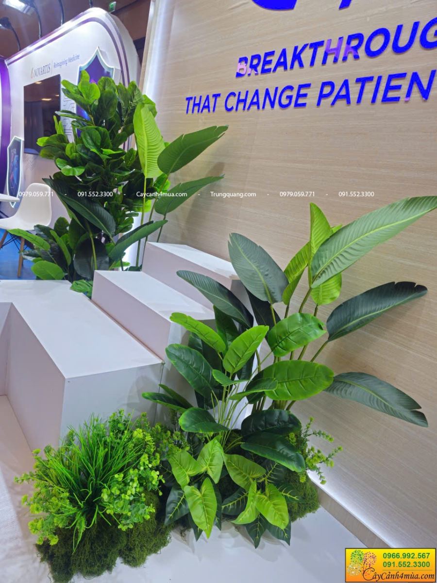 cho thuê cây giả