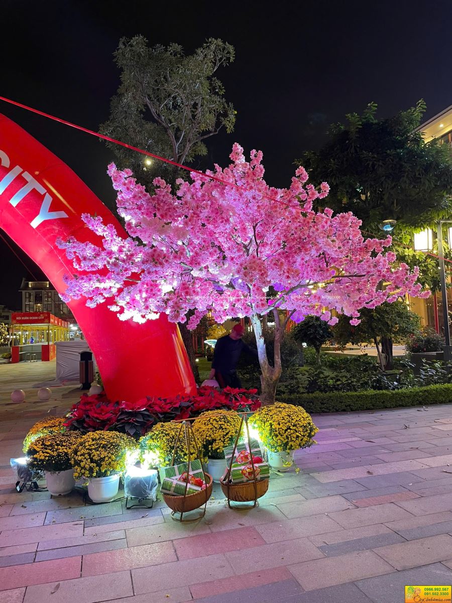 cây hoa anh đào giả