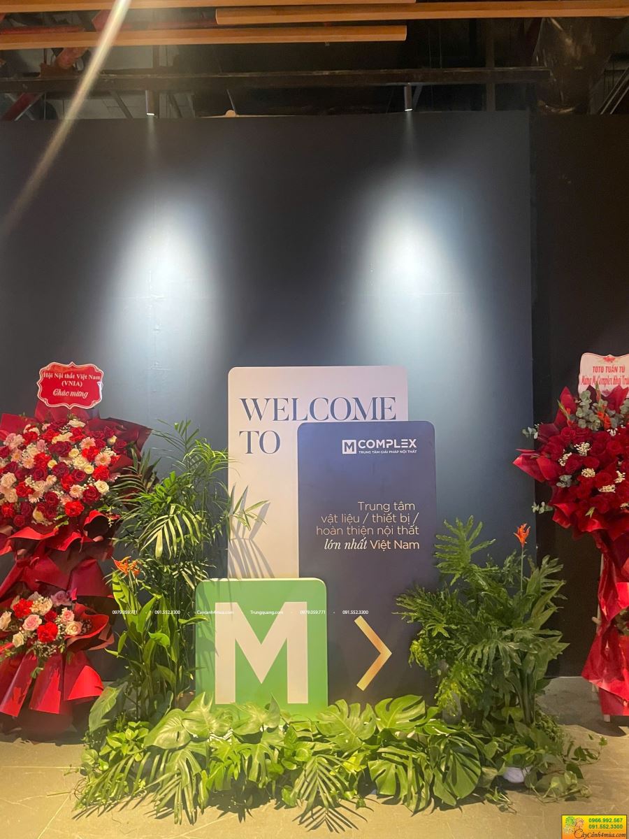 cây sự kiện tại royal city