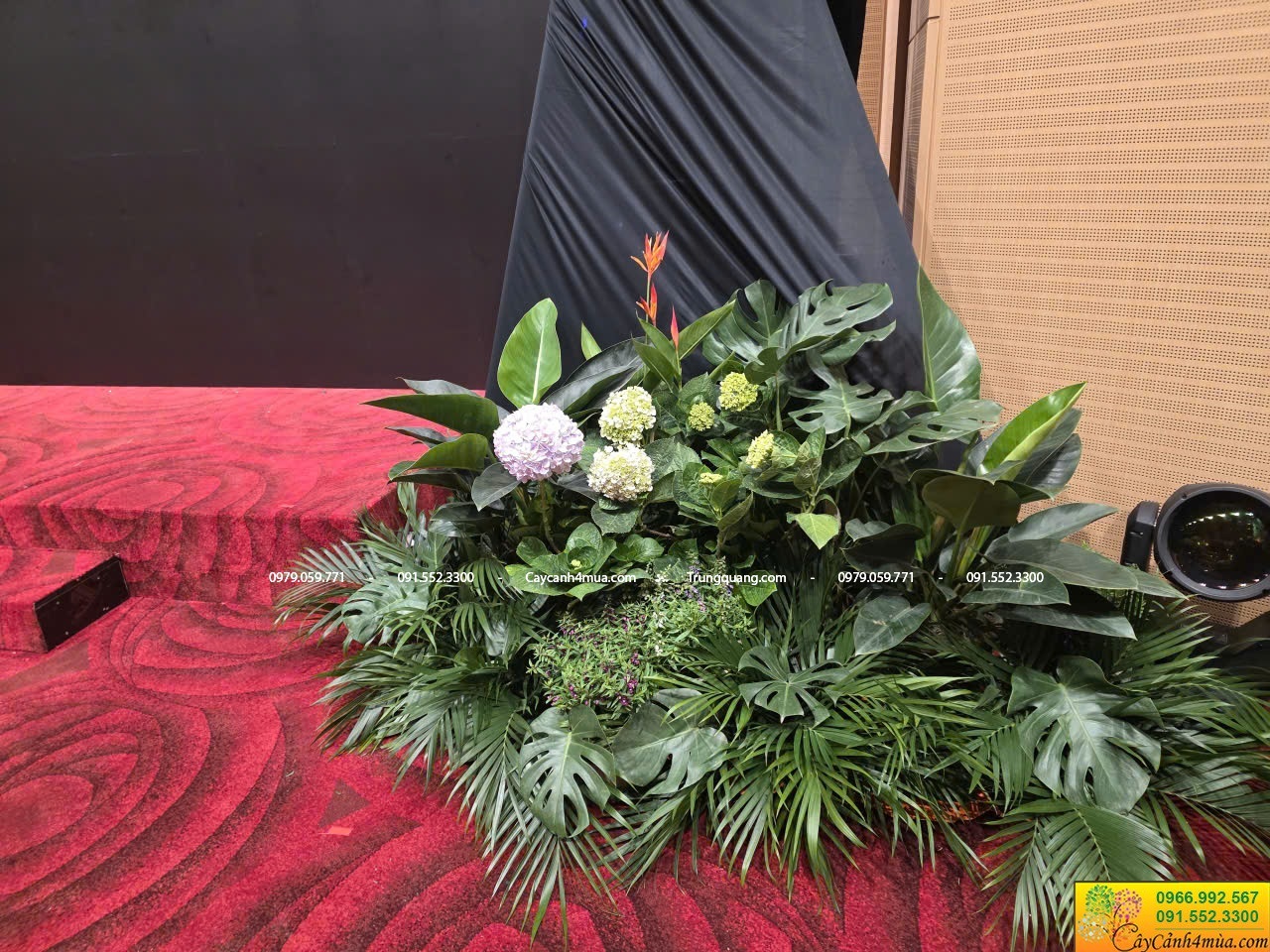 cây xanh cho sự kiện UBTP