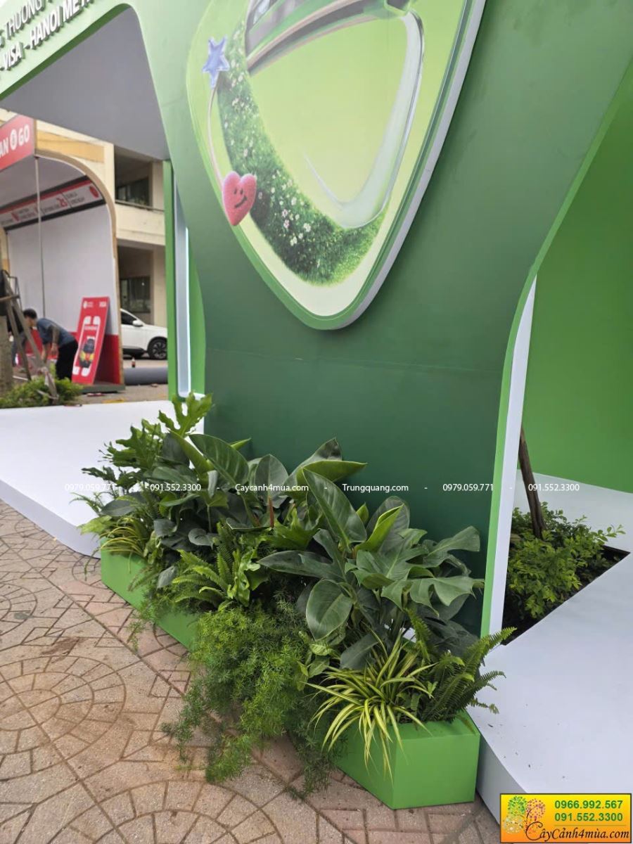 cung cấp cây xanh sự kiện