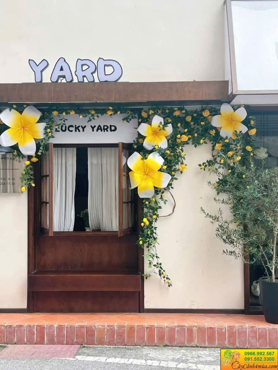 cành chanh vàng giả decor với hoa hồng giả