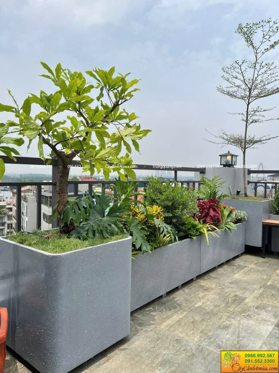 chậu composite nguyên khối