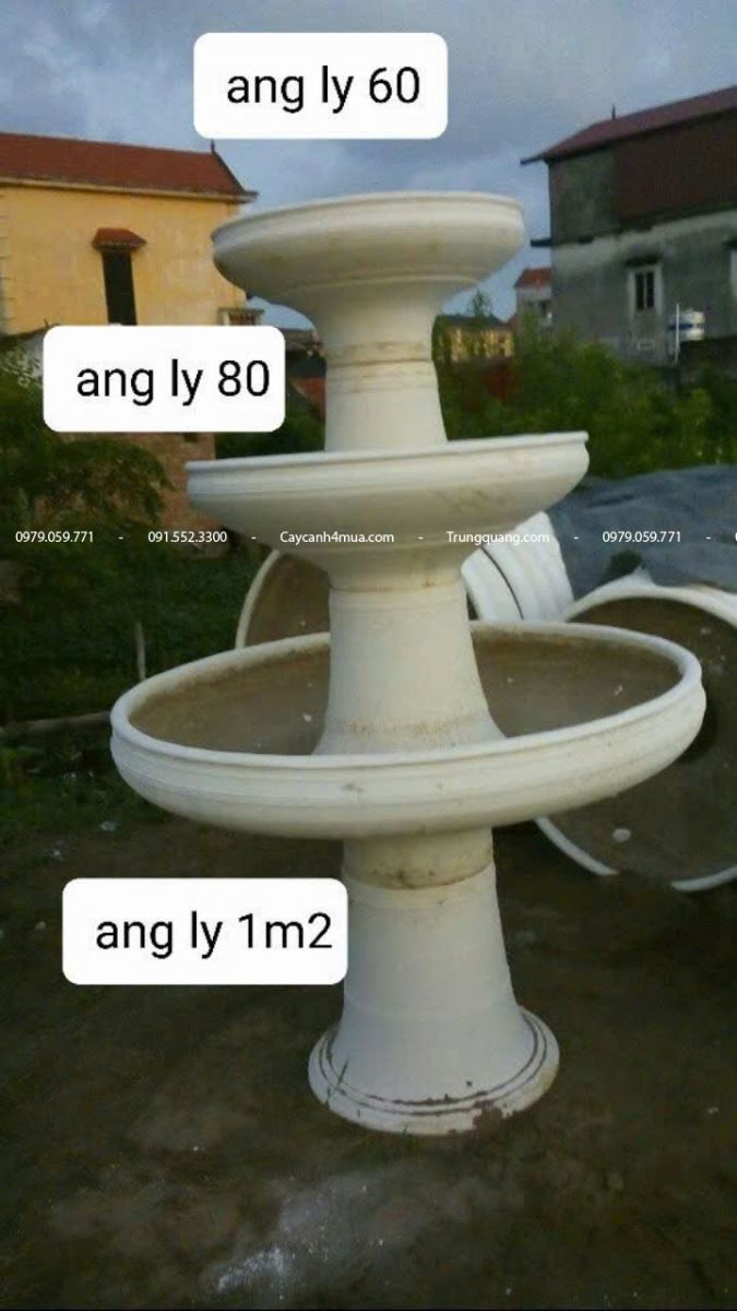 chậu ly các kích thước