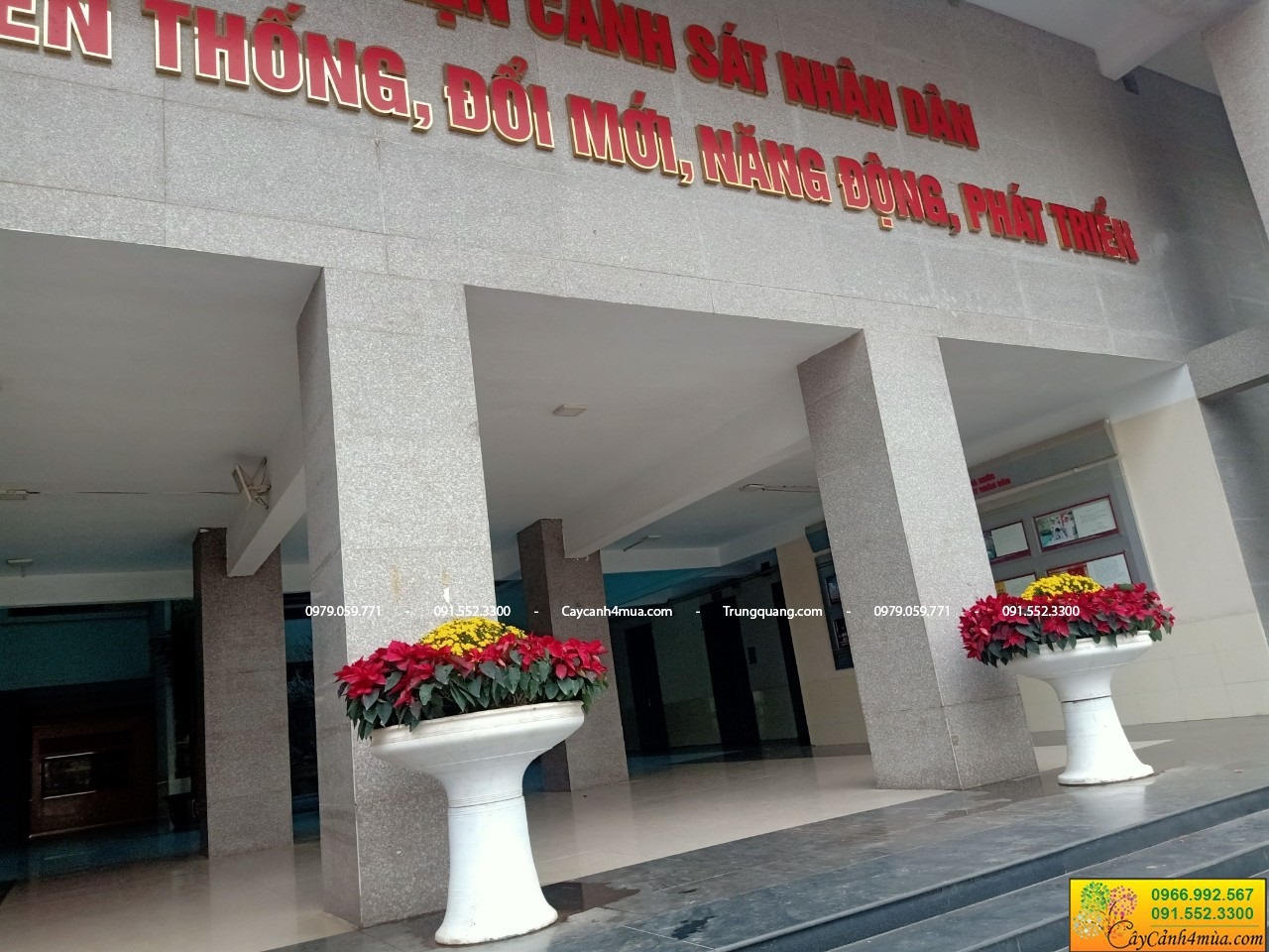 chậu ly đặt sảnh toà nhà