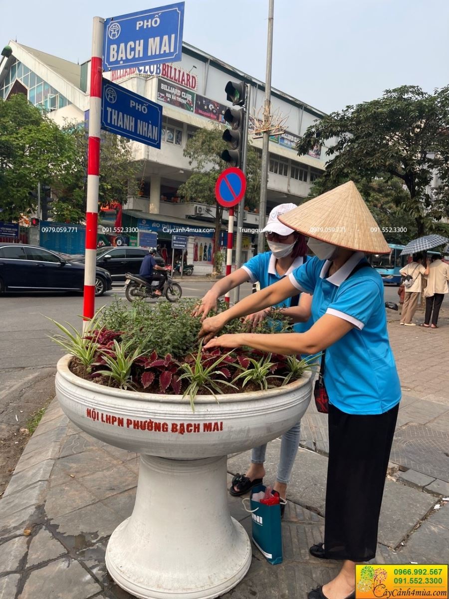 Chậu ly in chữ theo yêu cầu