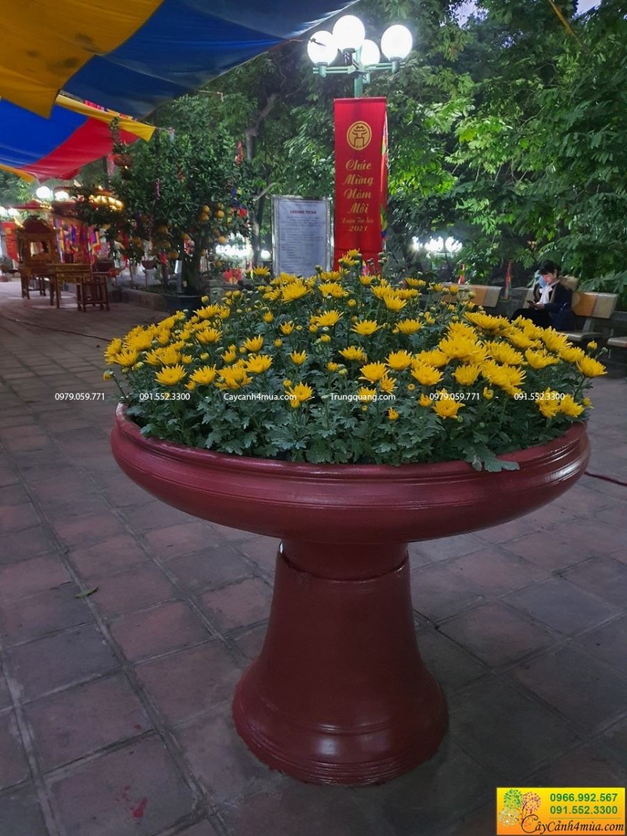 chậu ly sơn màu đỏ