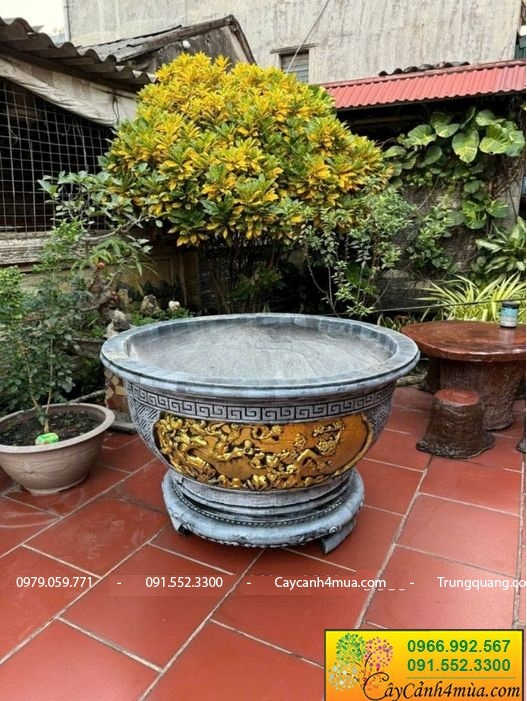 chậu xi măng 1m2