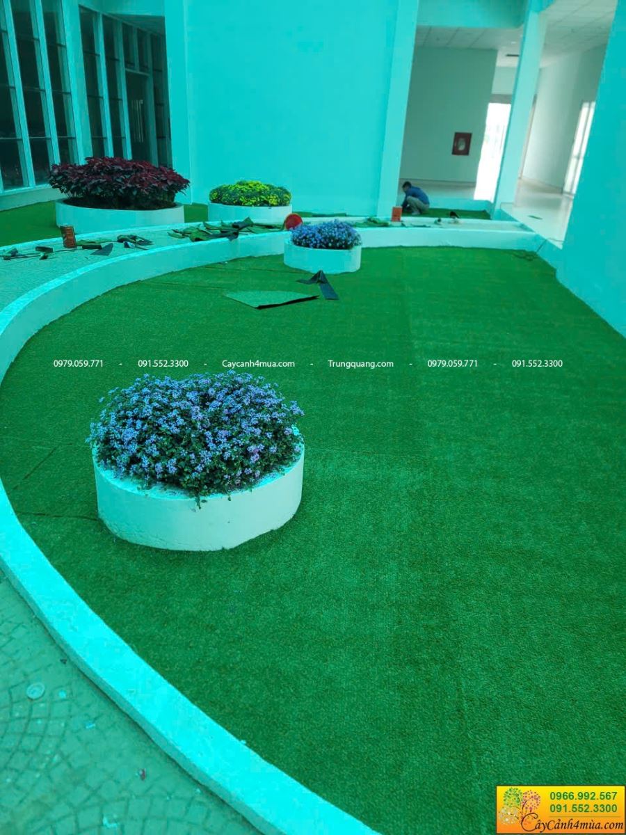 thi công cỏ nhân tạo cho trường học
