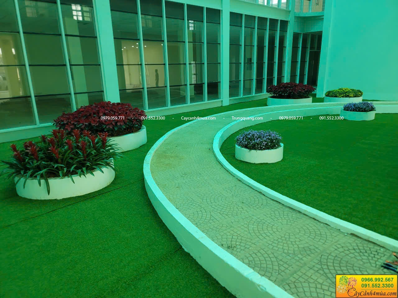 thi công cỏ nhân tạo