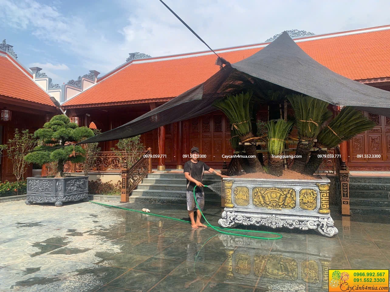 vạn tuế 9 thân đặt nhà thờ tổ