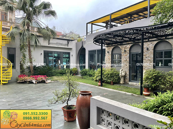 đơn vị thi công cây cảnh sân vườn uy tín