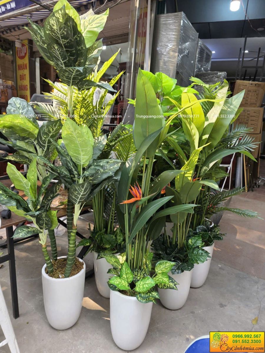 cây giả  nội thất