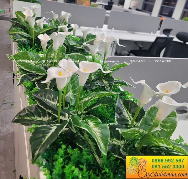 hộc cây giả văn phòng