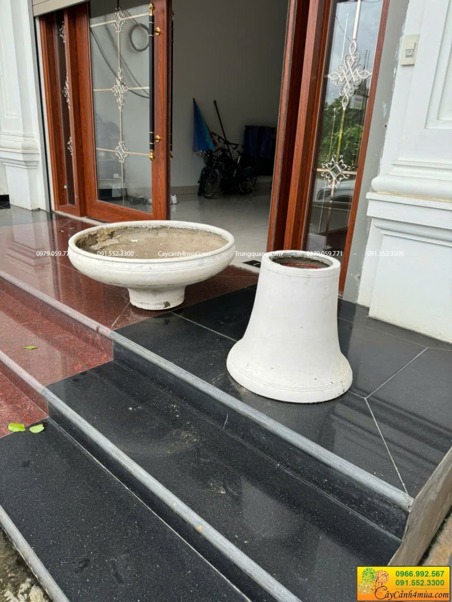 thành phần cấu tạo chậu ly trắng