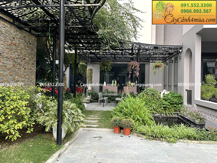 Mẫu sân vườn biệt thự đẹp