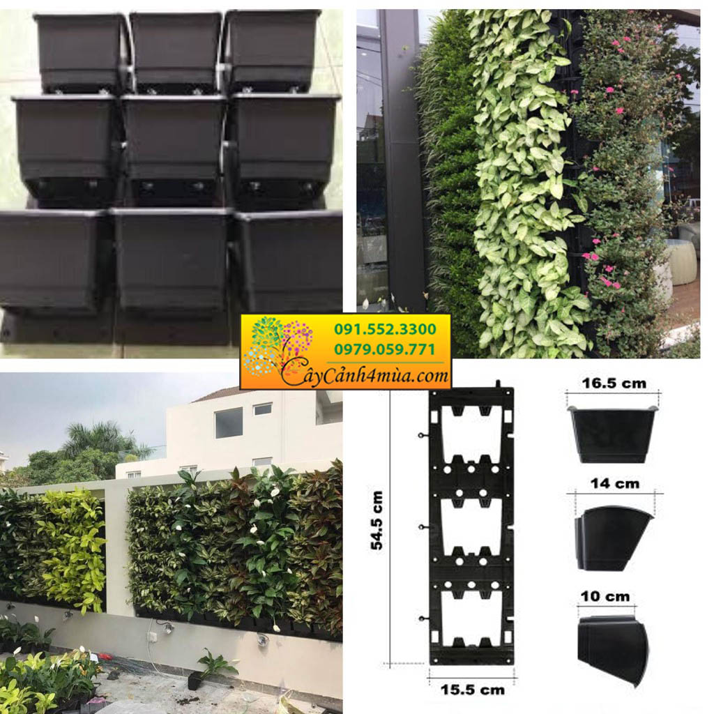 hệ thống modul trồng cây trên tường đứng