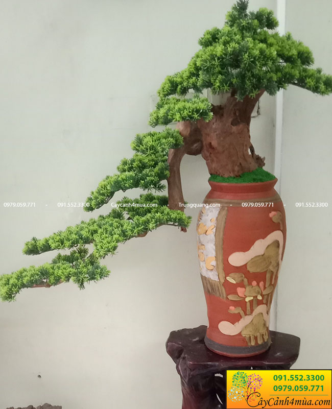 Ý nghĩa và ưu điểm của cây tùng la hán bonsai giả