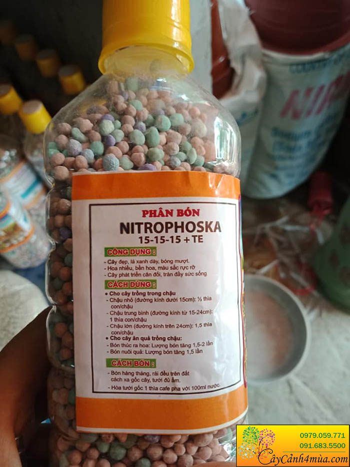 Phân bón Nitrophoska