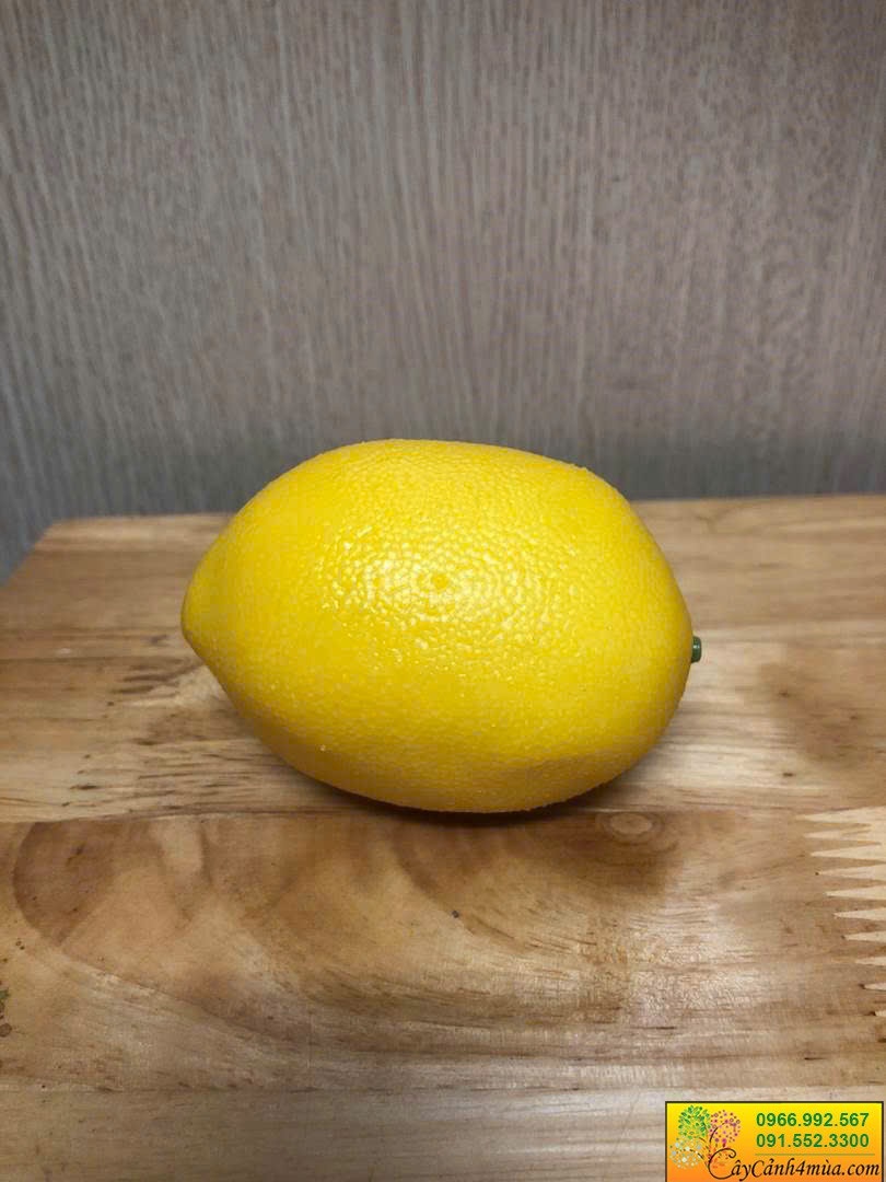 quả chanh vàng giả