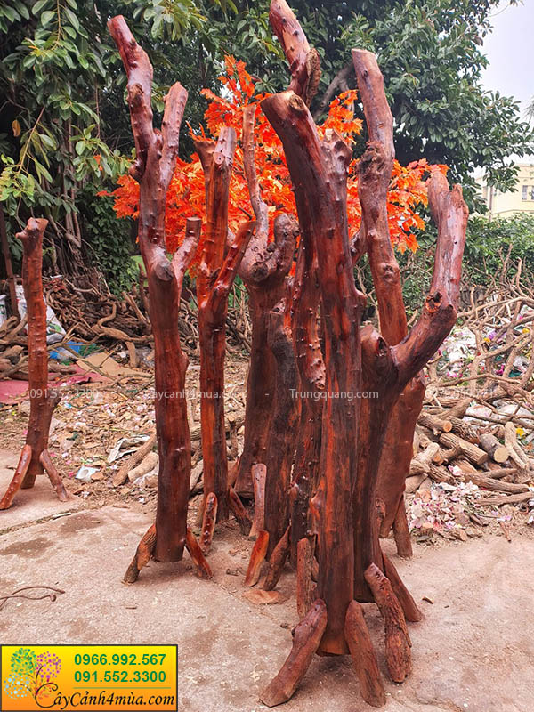 thân cây gỗ sơn màu