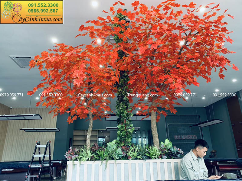 thi công cây phong lá đỏ giả trang trí quán cafe