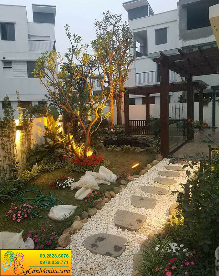 thiết kế trồng cây sân vườn Hà Nội
