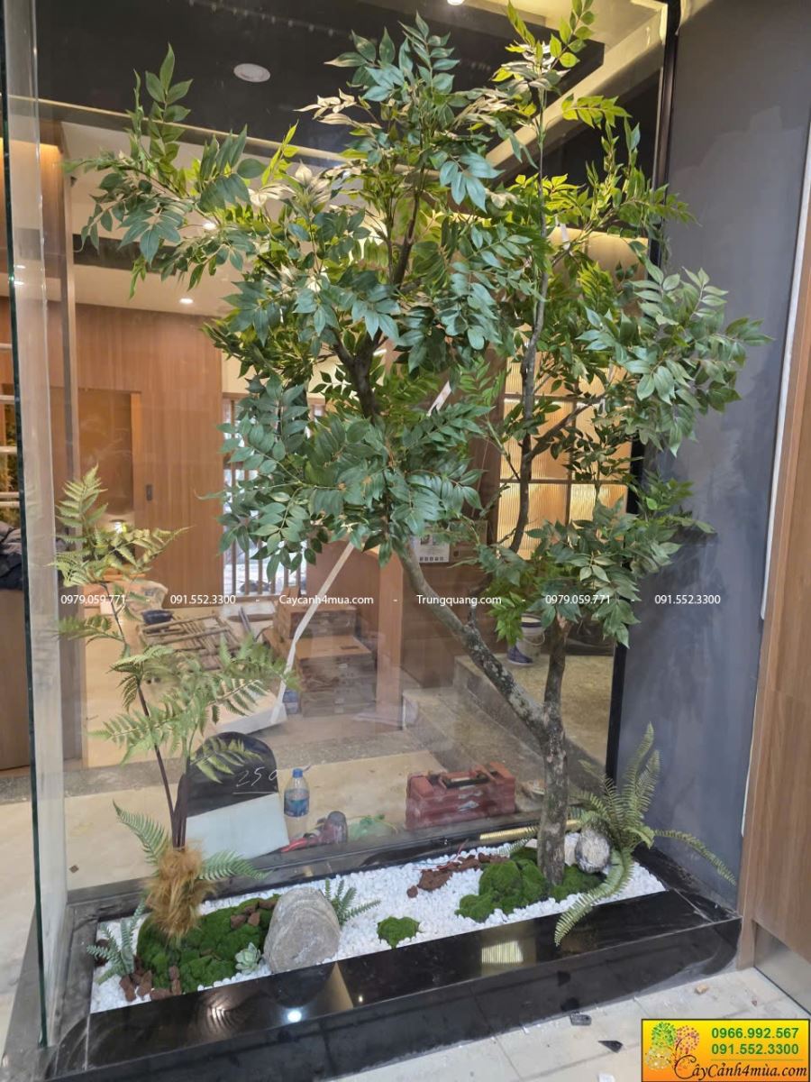 cây giả xanh cao 1m8 trang trí bồn