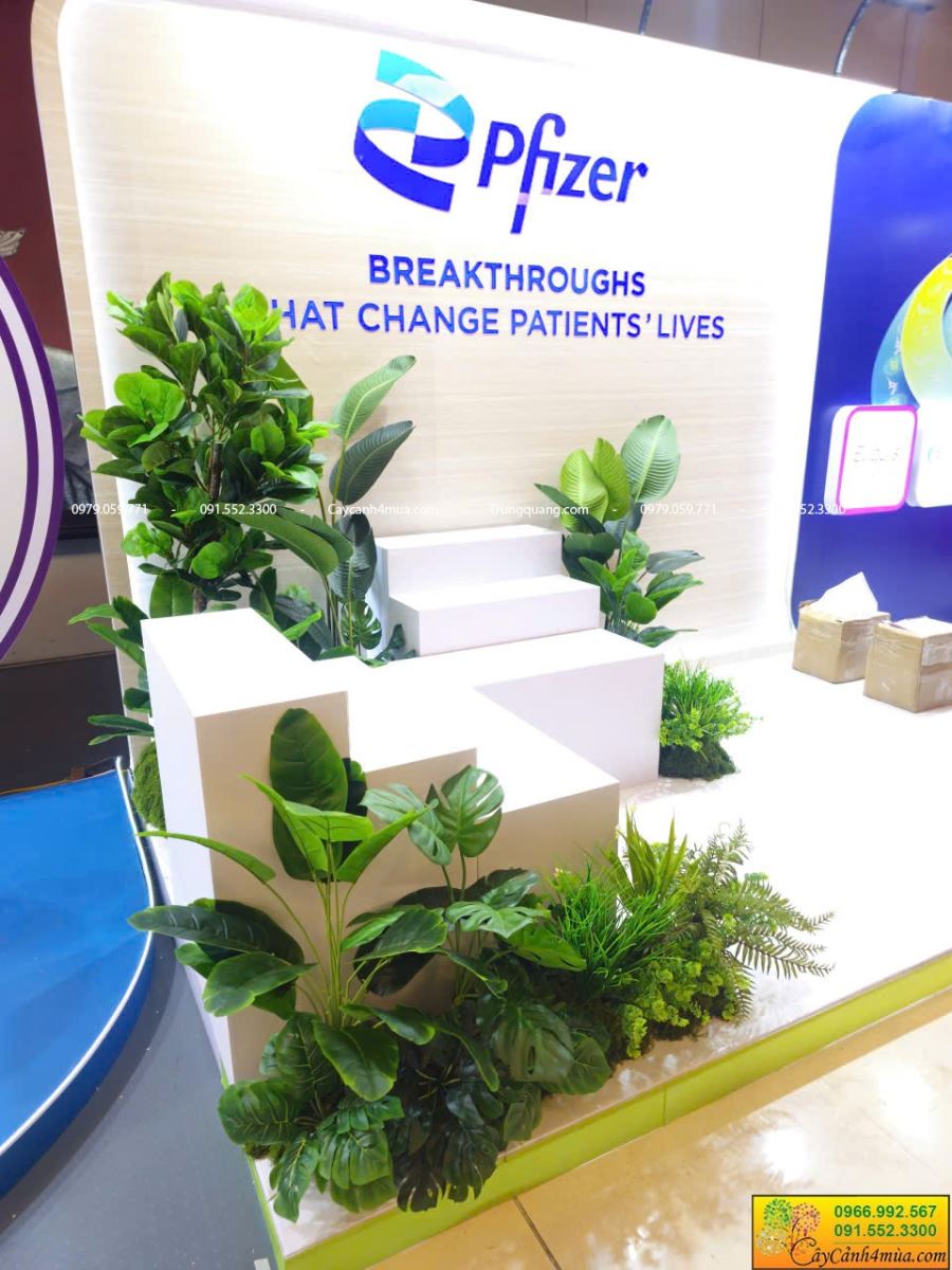 cho thuê cây giả