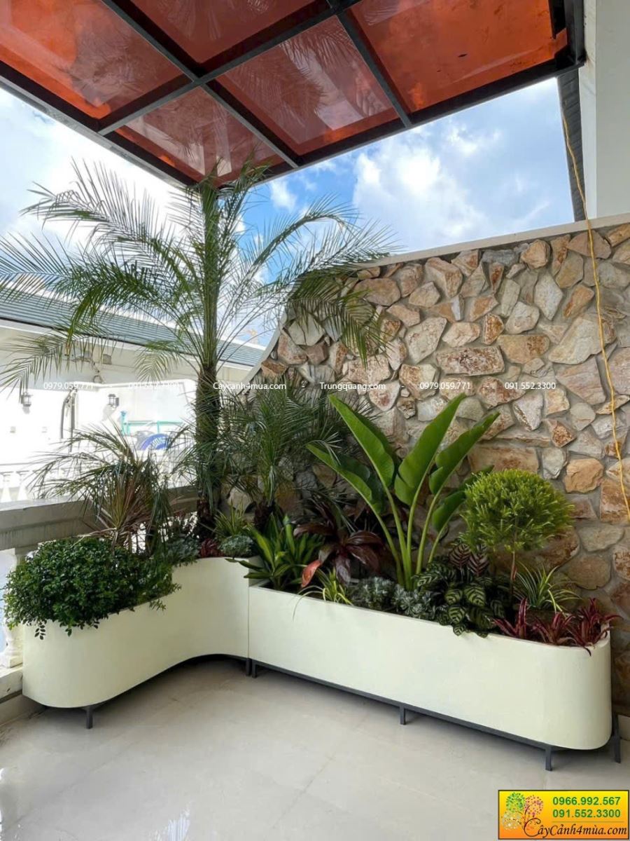 trồng cây có mái che sân thượng