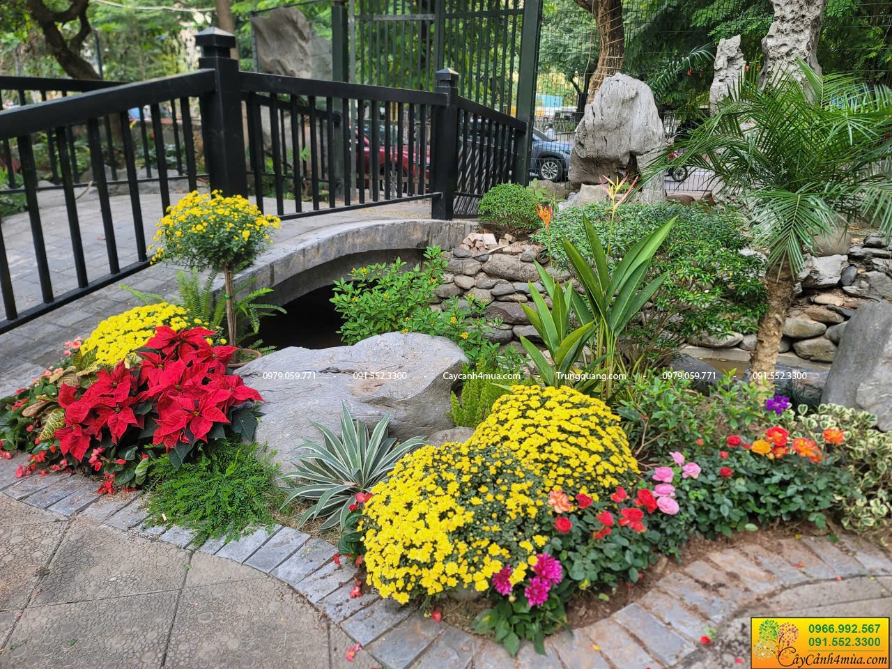 Trồng hoa ngày tết