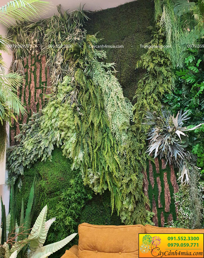 tường cây xanh amzon đẹp Hà Nội