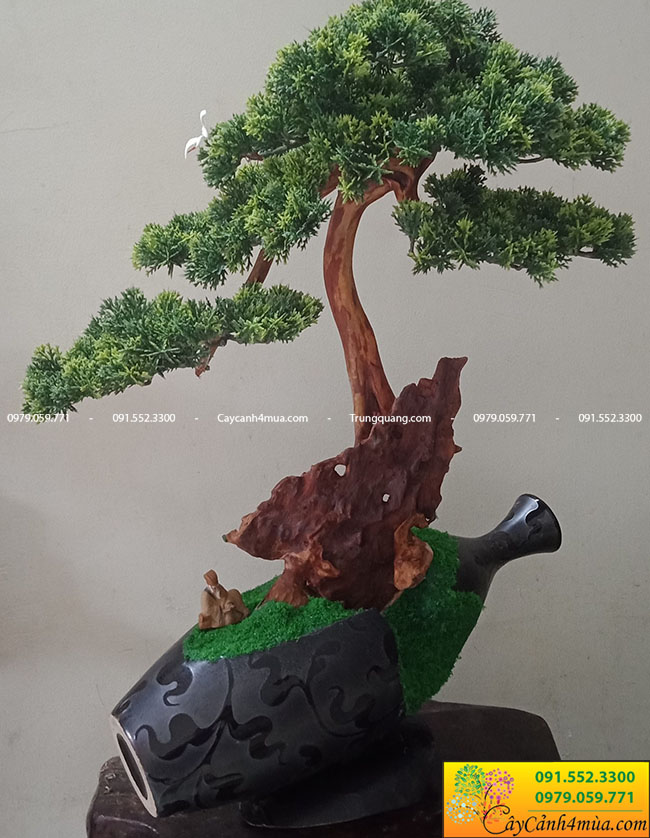 Ưu điểm của cây tùng la hán bonsai giả