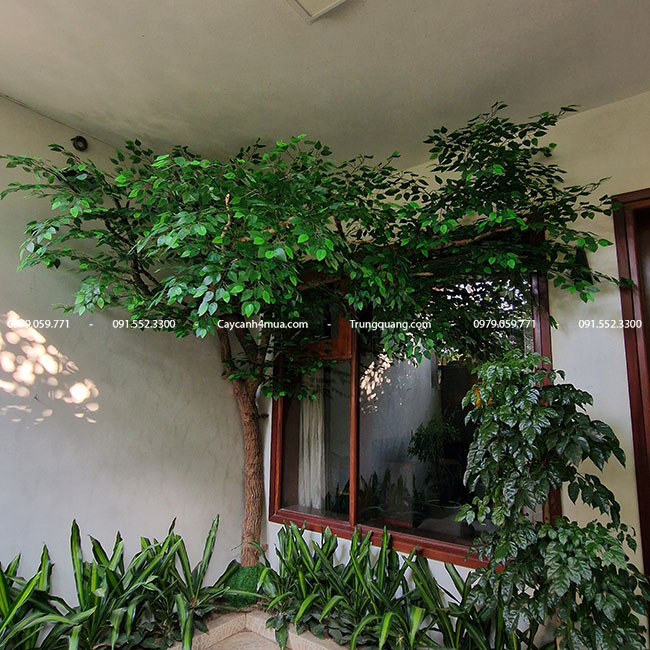 Bán cây xanh giả trang trí tại Hà Nội