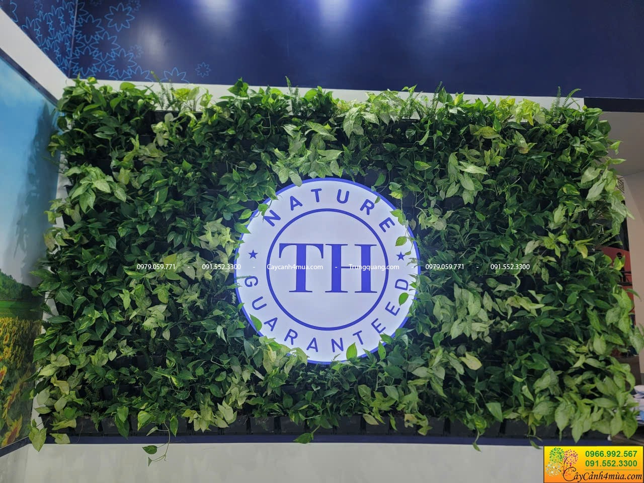 tường cây đứng cho sự kiện