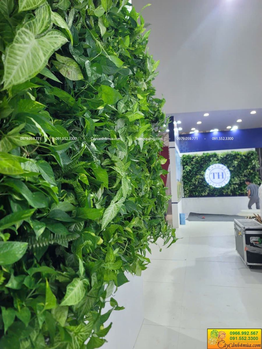 tường cây đứng sự kiện