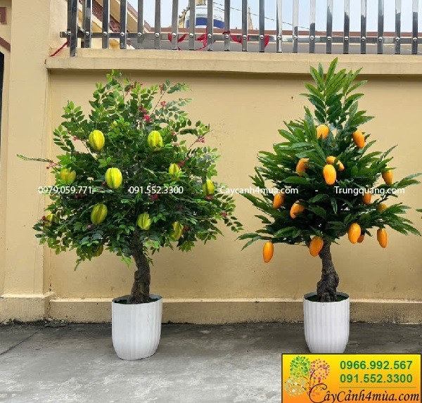 Bán các cây ăn quả giả đẹp