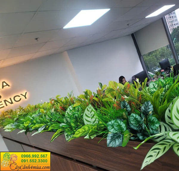 Bồn cây giả văn phòng tại Ngoại Giao Đoàn