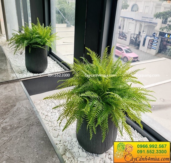 Cây giả cho cửa hàng nội thất