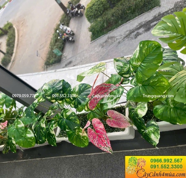 Mẫu cây giả cao 60-80cm trồng chậu trang trí văn phòng