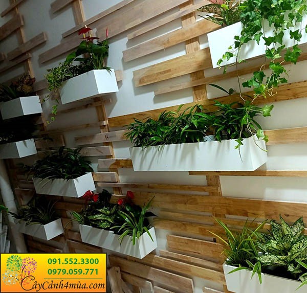 Mẫu tường gỗ cao su -  trồng cây xanh trang trí ban công chung cư tại 26 Liễu Giai